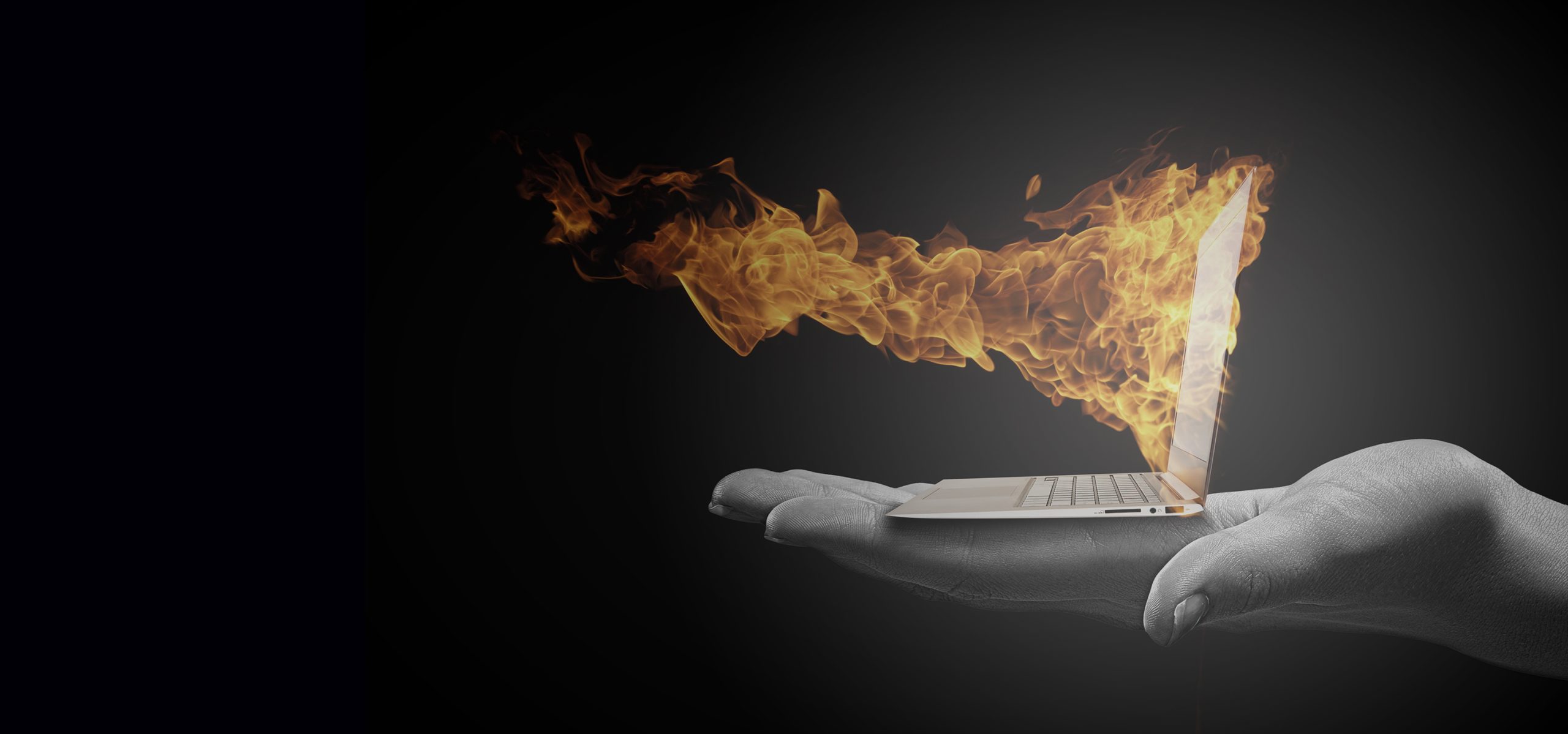 What’s Hot in Website Design