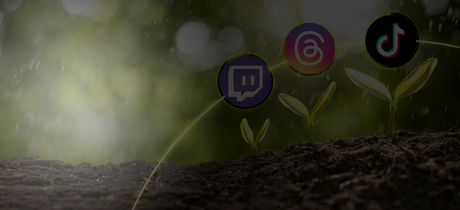 3 Emerging Social Media Platforms Your Business Should Know in 2024